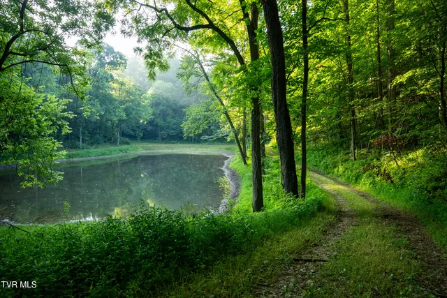 $4,750,000 | 517-ac Gregory Road, Sneedville, TN 37869