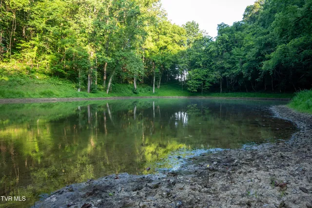 $4,750,000 | 517-ac Gregory Road, Sneedville, TN 37869