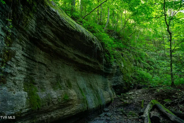 $4,750,000 | 517-ac Gregory Road, Sneedville, TN 37869