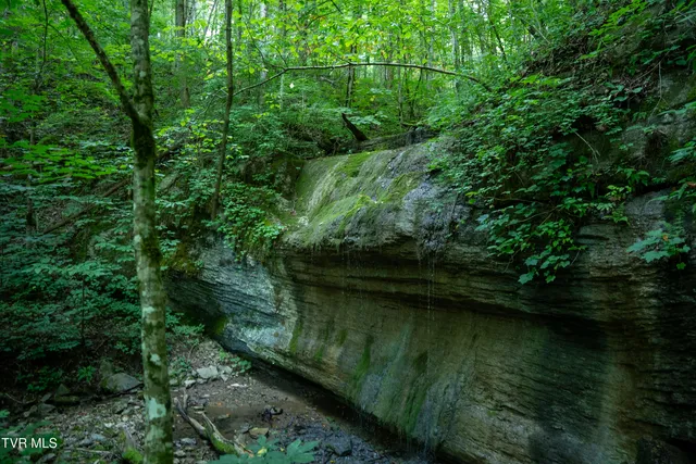 $4,750,000 | 517-ac Gregory Road, Sneedville, TN 37869