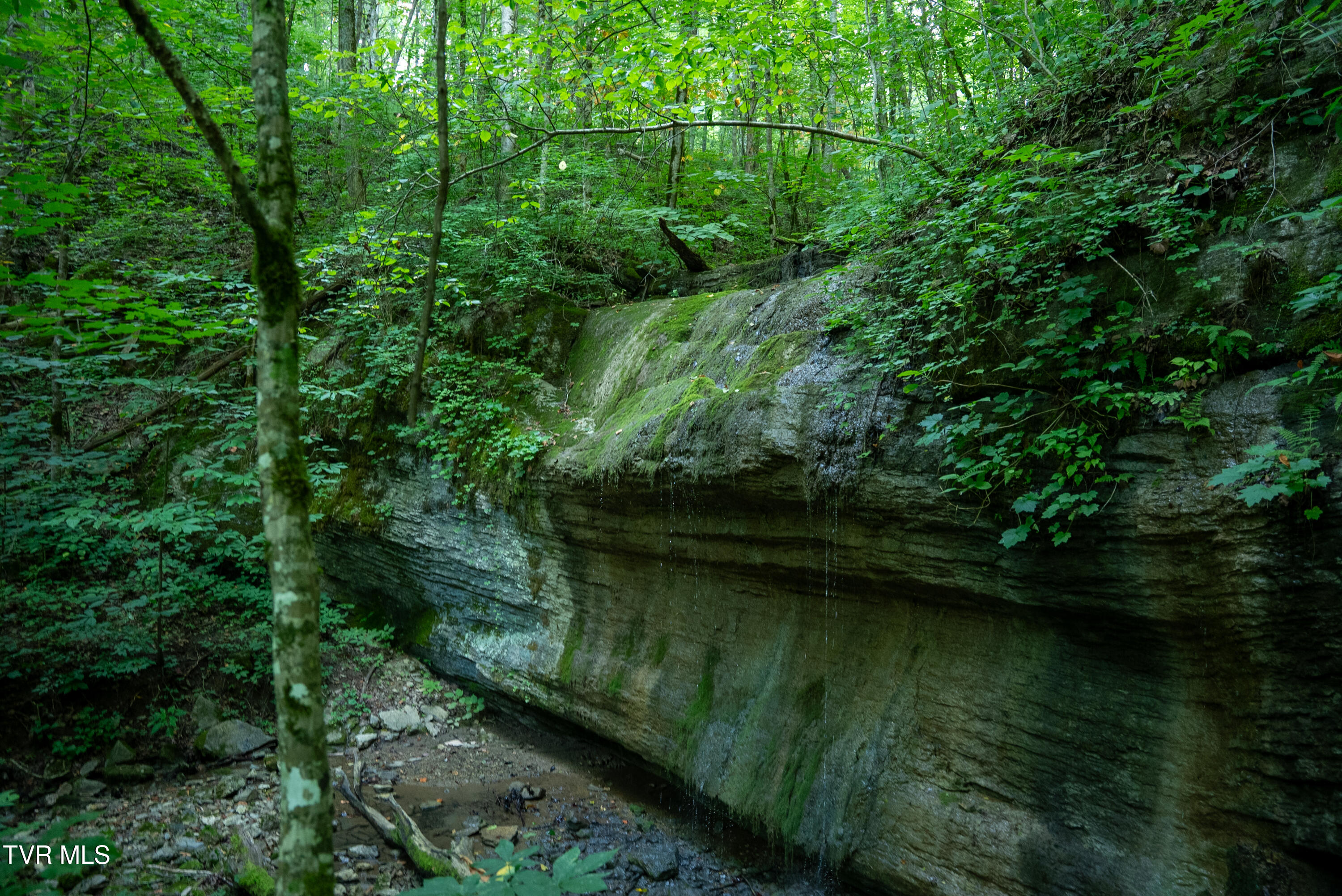 517-ac Gregory Road Sneedville, TN 37869 - Photo 92 of 128 _Pic93 (3)