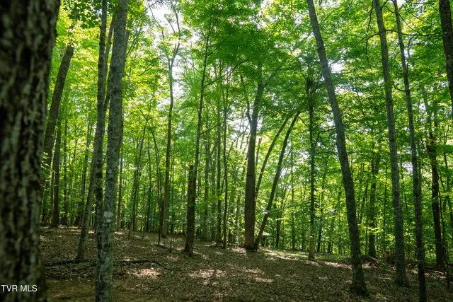 $4,750,000 | 517-ac Gregory Road, Sneedville, TN 37869