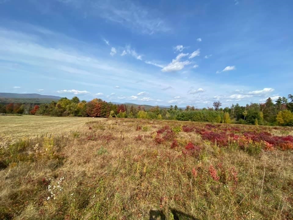 0 Jones Hill Road Enfield, NH 03748 - Photo 7 of 11 Gallery Image 7