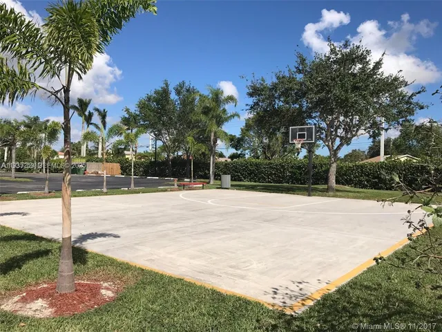 a view of a park with large trees