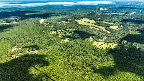 $290,500 | Tbd J J Lane, Coldspring, TX 77331