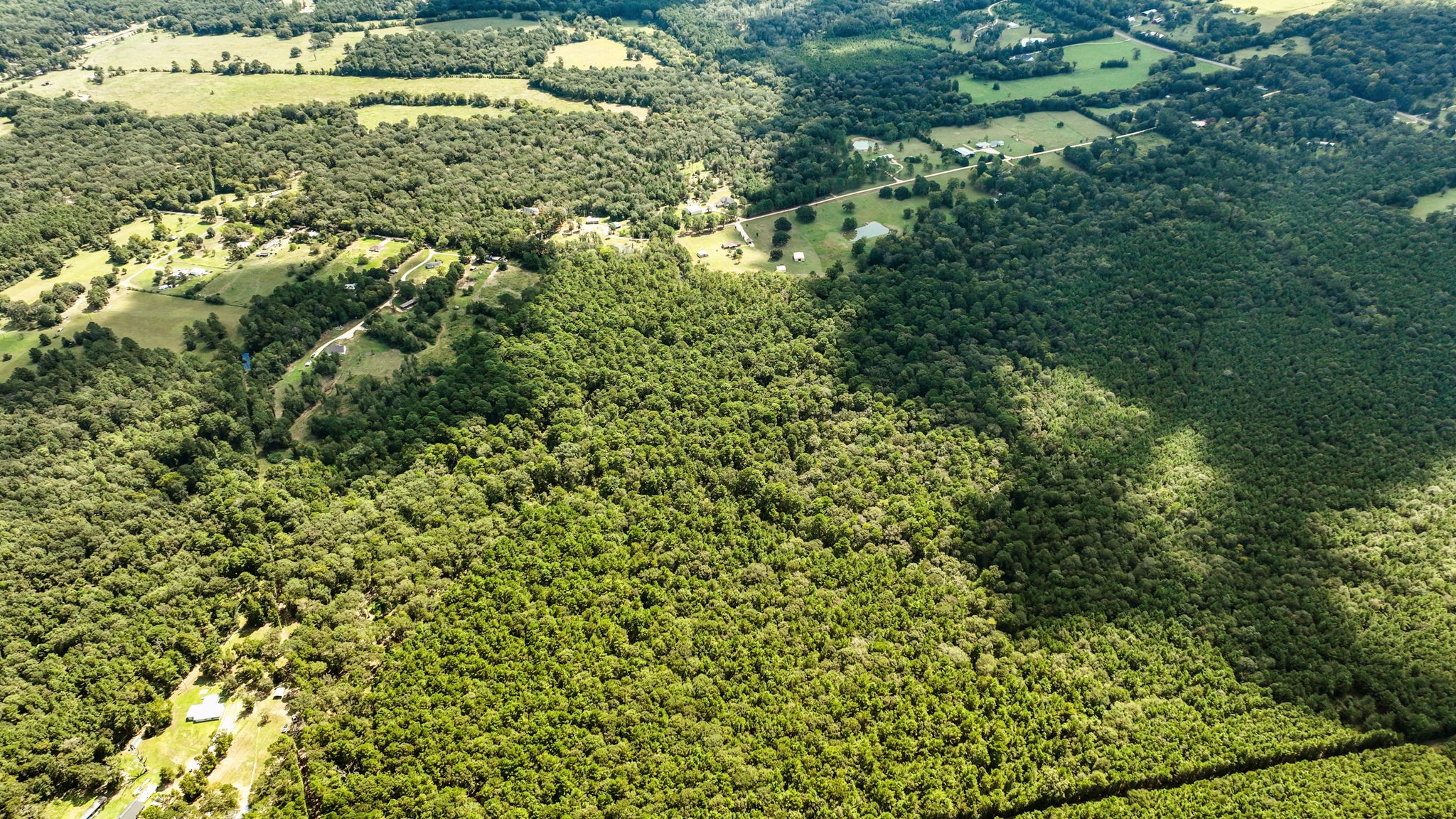 Tbd J J Lane Coldspring, TX 77331 - Photo 6 of 9 This could be your dream home site