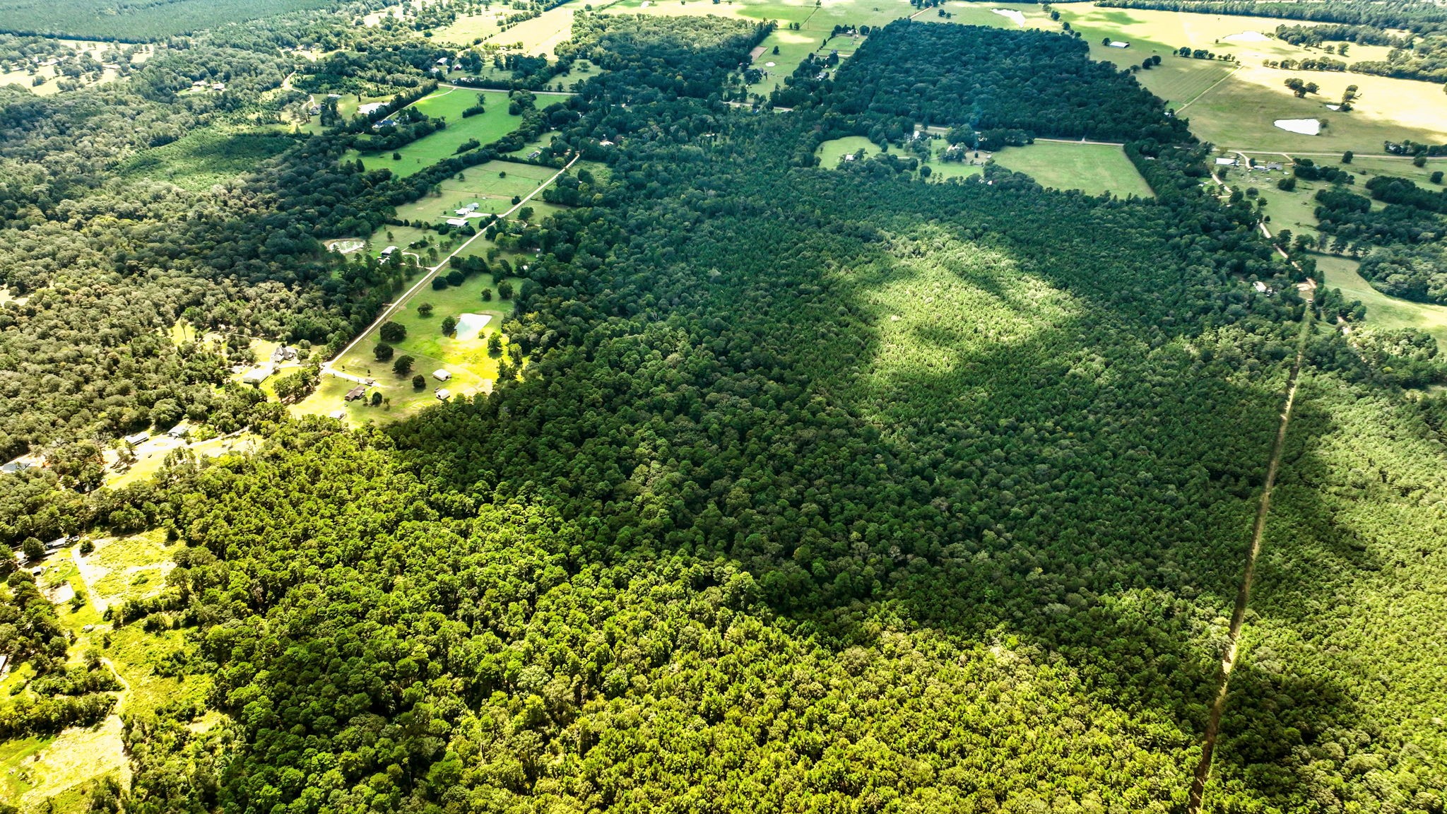 Tbd J J Lane Coldspring, TX 77331 - Photo 7 of 9 Timber exemption currently in place for low taxes