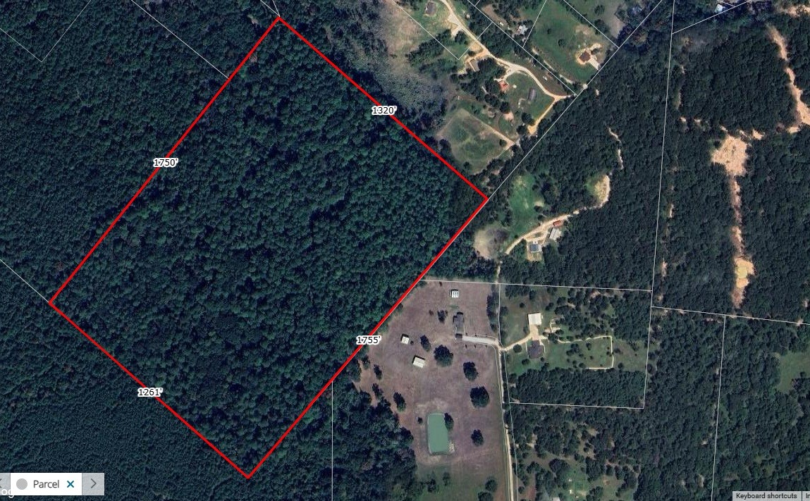 Tbd J J Lane Coldspring, TX 77331 - Photo 8 of 9 Approximate lot lines- no known easement to enter the property