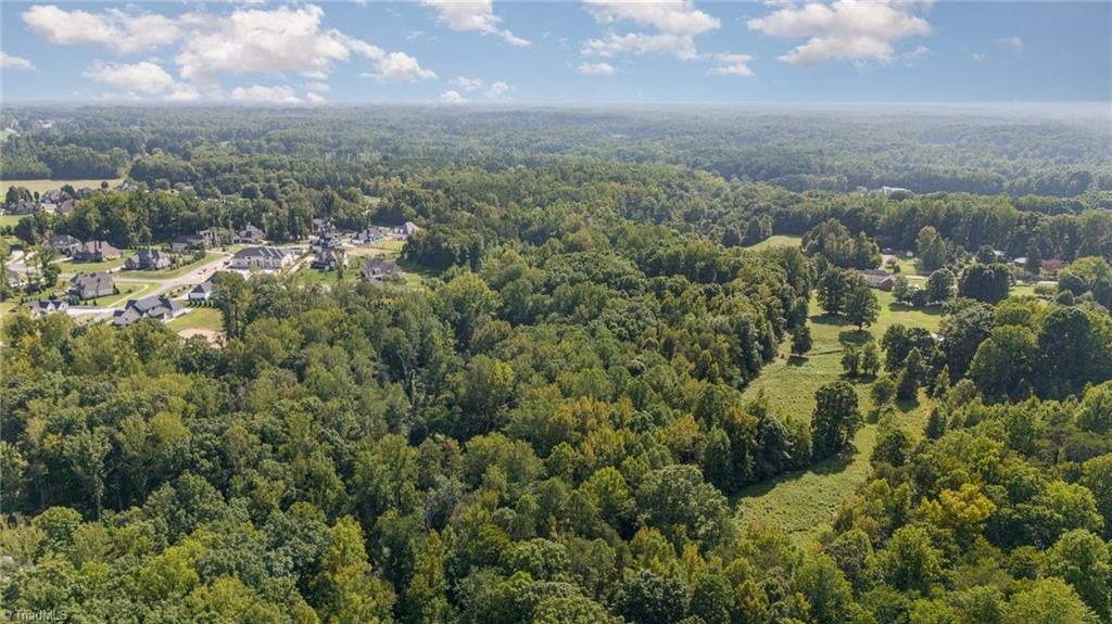 5960 Pepper Road Oak Ridge, NC 27310 - Photo 10 of 17