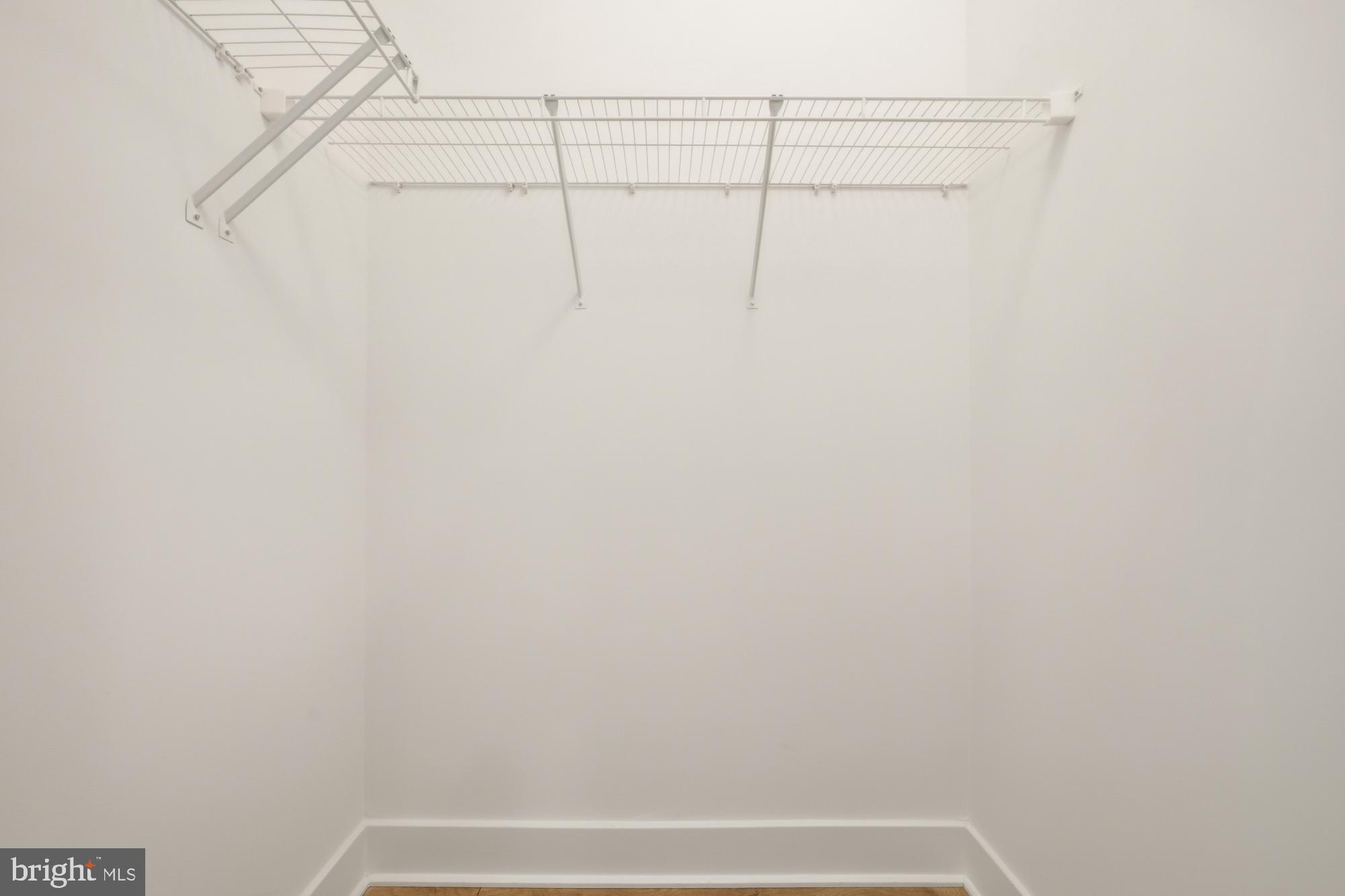 11246 Faraday Park Drive Reston, VA 20190 - Photo 23 of 48 Primary Closet #2