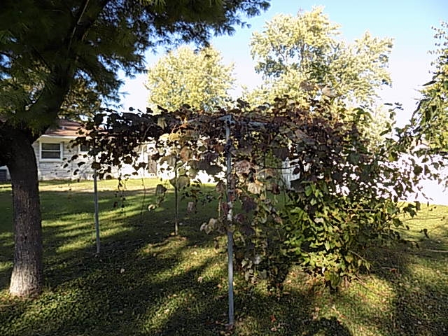 321 Park Street Decatur, IN 46733 - Photo 4 of 27