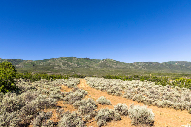 2120 Little Valley Road Wallsburg, UT 84082 - Photo 15 of 50