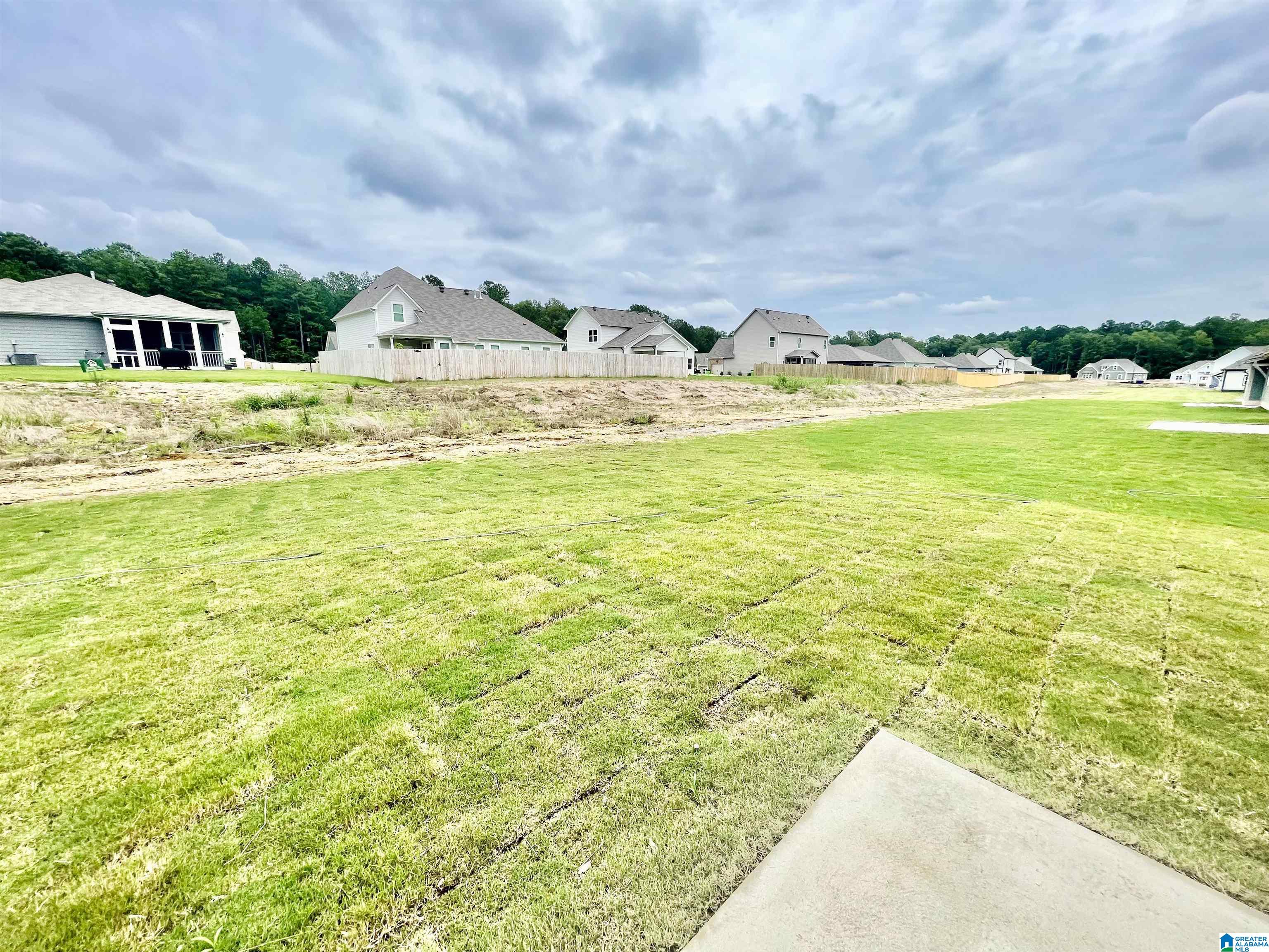 3080 Baxter Avenue Springville, AL 35146 - Photo 51 of 54