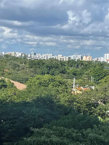 a view of a bunch of trees in a field
