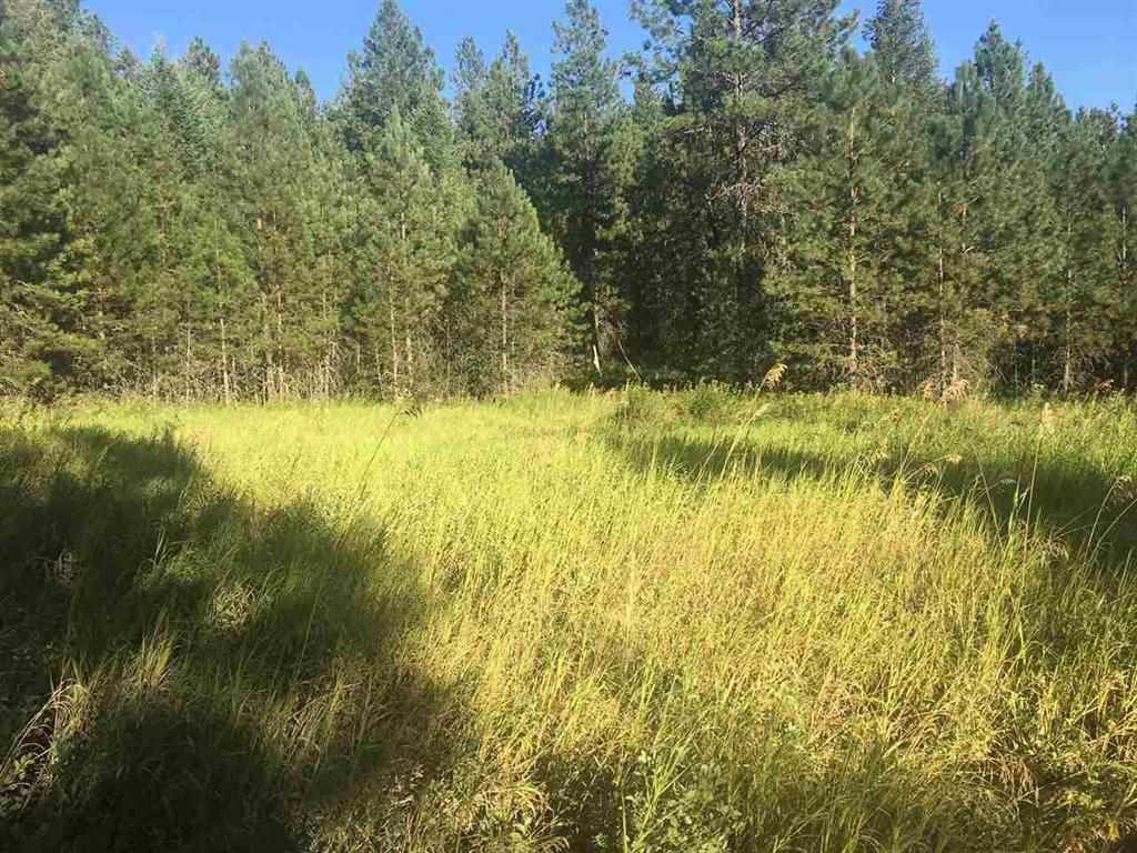 0 South Vicari Road Spokane Valley, WA 99206 - Photo 1 of 8 Gallery Image 1