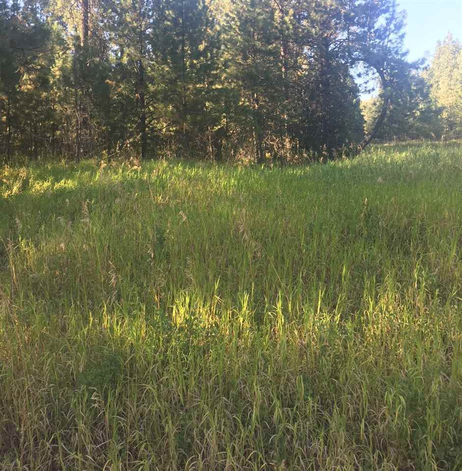 0 South Vicari Road Spokane Valley, WA 99206 - Photo 2 of 8 Gallery Image 2