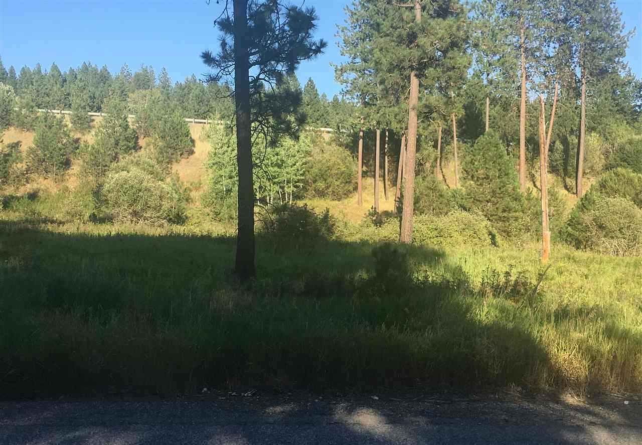 0 South Vicari Road Spokane Valley, WA 99206 - Photo 5 of 8 Gallery Image 5