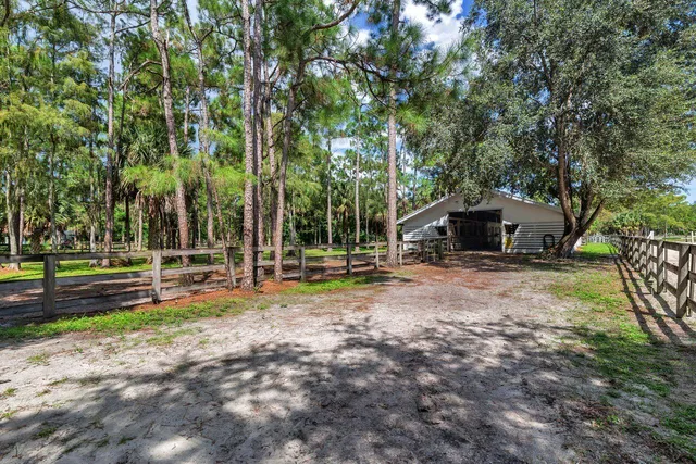 a view of backyard with large trees