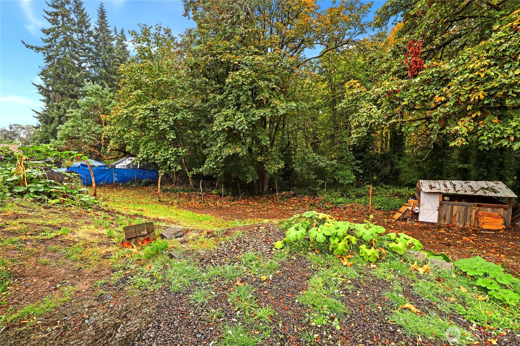 2861 Clare Avenue Bremerton, WA 98310 - Photo 33 of 39 a view of a garden with plants