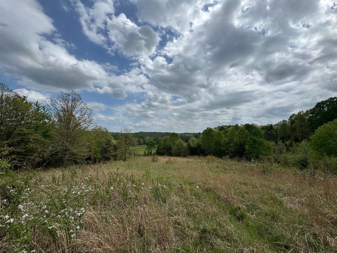 577 Bratcher Road Morgantown, KY 42261 - Photo 5 of 15 Gallery Image 5