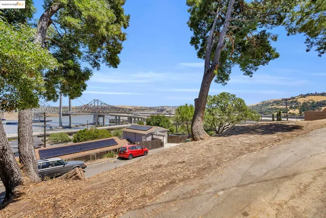 a view of a forest with trees