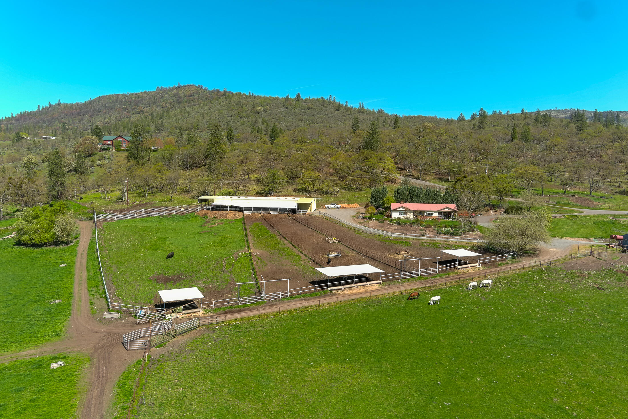 1881 Brophy Road Eagle Point, OR 97524 - Photo 27 of 130 025