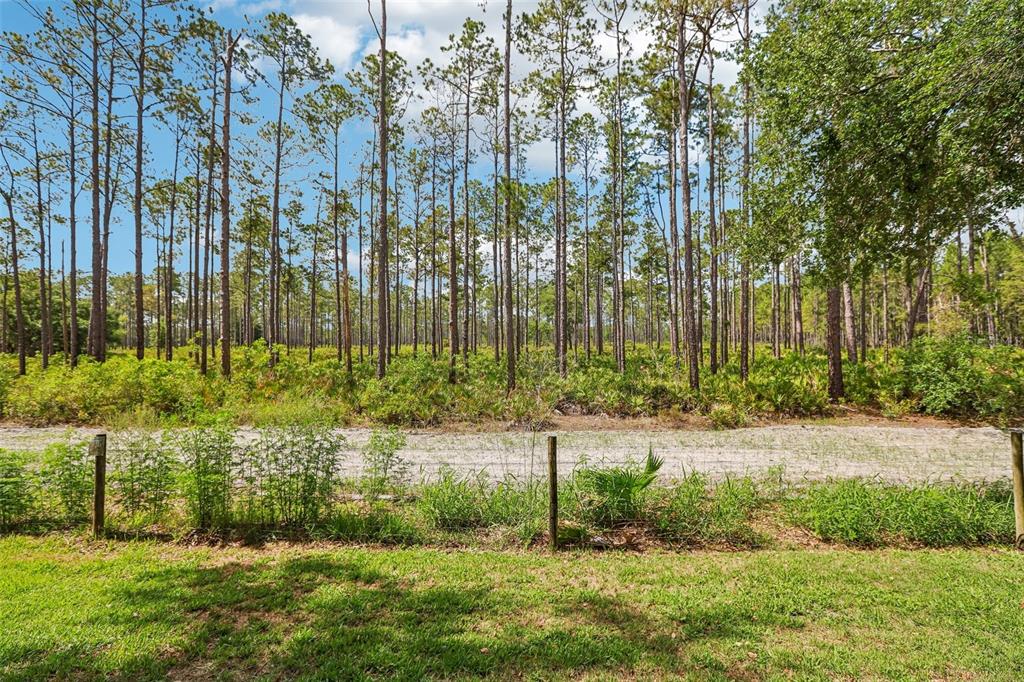 17702 Long Ridge Road Tampa, FL 33647 - Photo 34 of 48 Gallery Image 34
