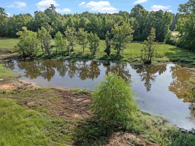 a view of a lake from a yard
