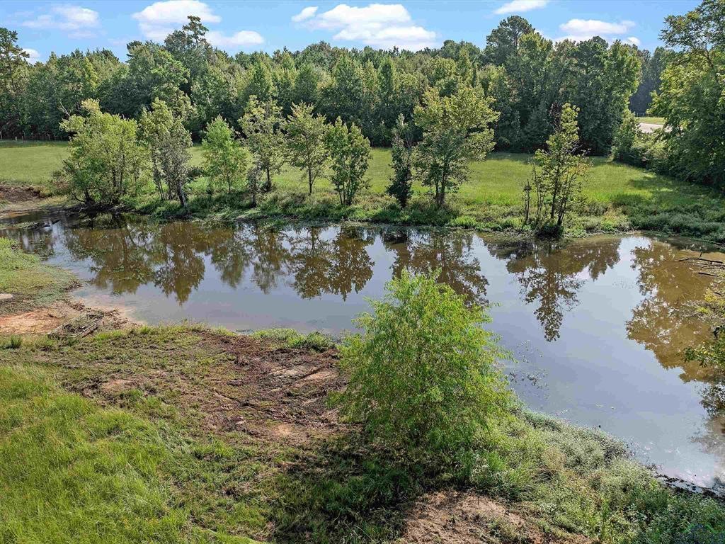 6006 Highway 315 Carthage, TX 75633 - Photo 2 of 35 a view of a lake from a yard