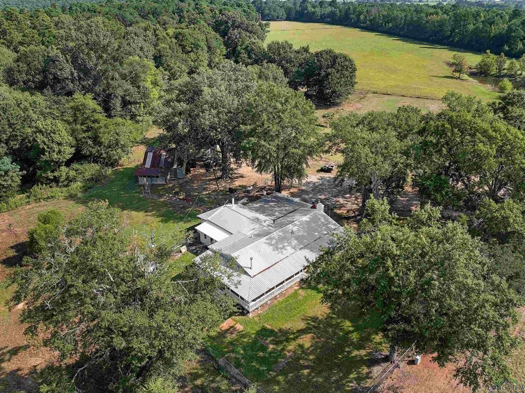 6006 Highway 315 Carthage, TX 75633 - Photo 24 of 35 a view of a yard with an outdoor space