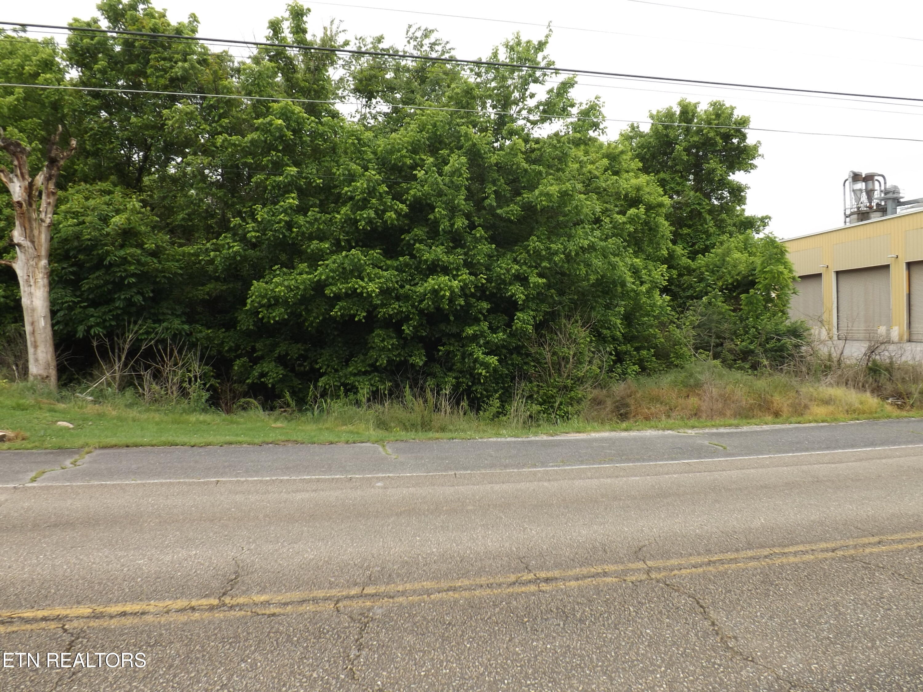0 Maples/blue Top Road Tazewell, TN 37879 - Photo 1 of 9 DSCF2534