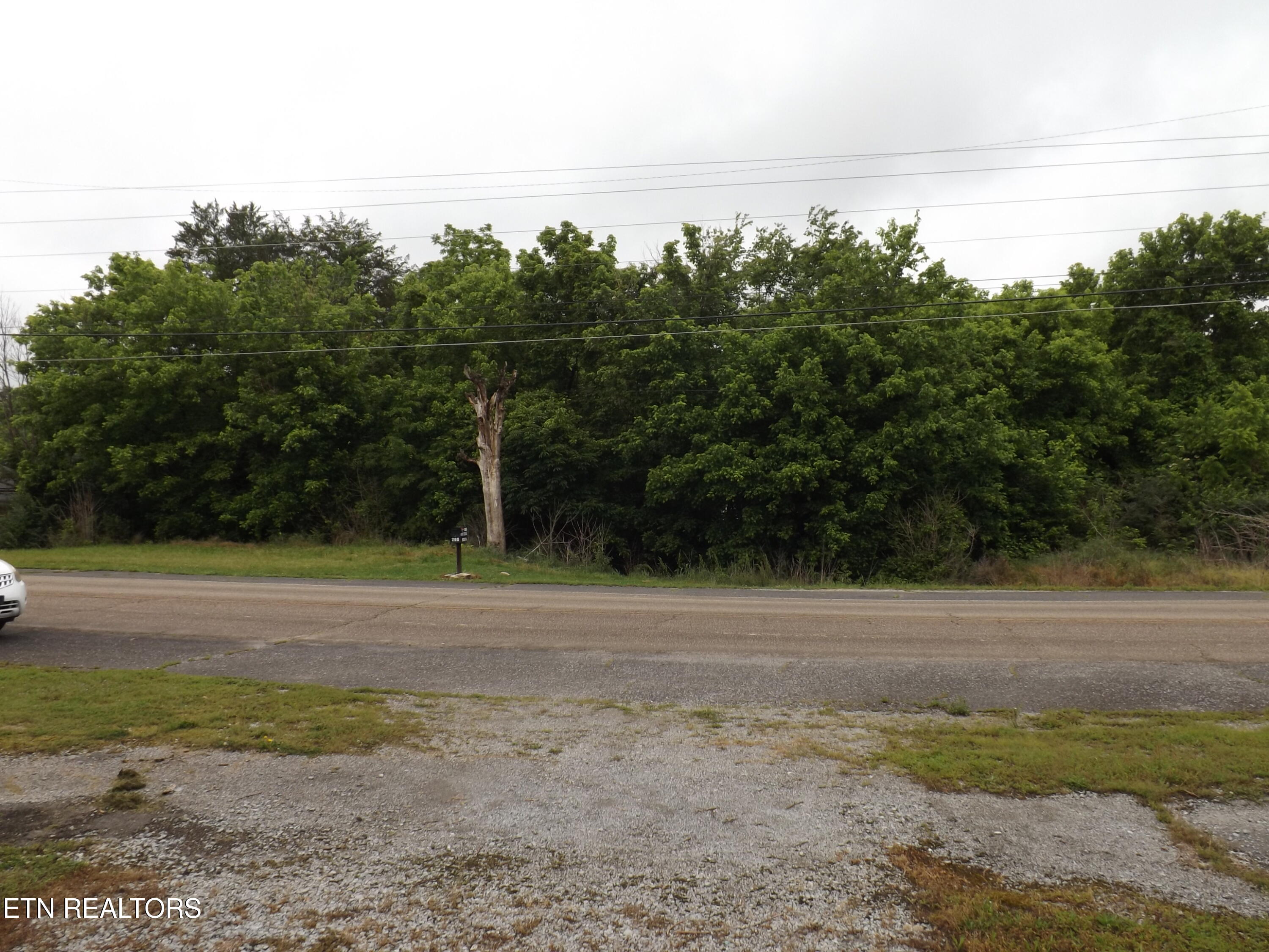 0 Maples/blue Top Road Tazewell, TN 37879 - Photo 2 of 9 DSCF2531