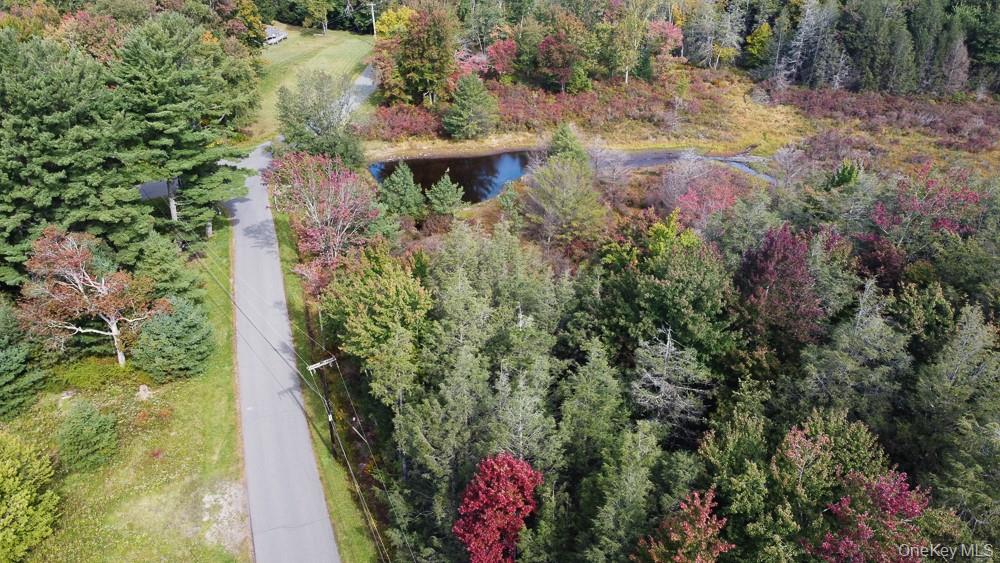 Seeman Road Neversink, NY 12765 - Photo 9 of 12 Gallery Image 9