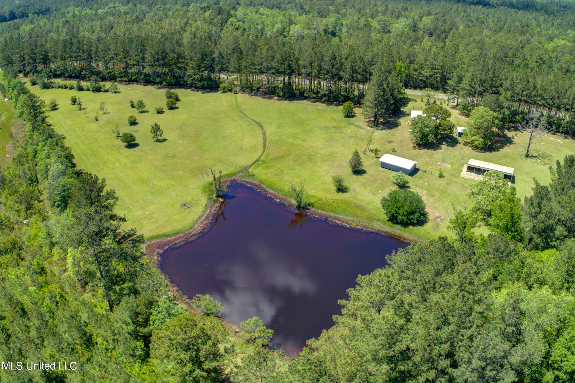 646 Stump Texas Road Lumberton, MS 39455 - Photo 11 of 76 646 Stump Texas Rd (11)