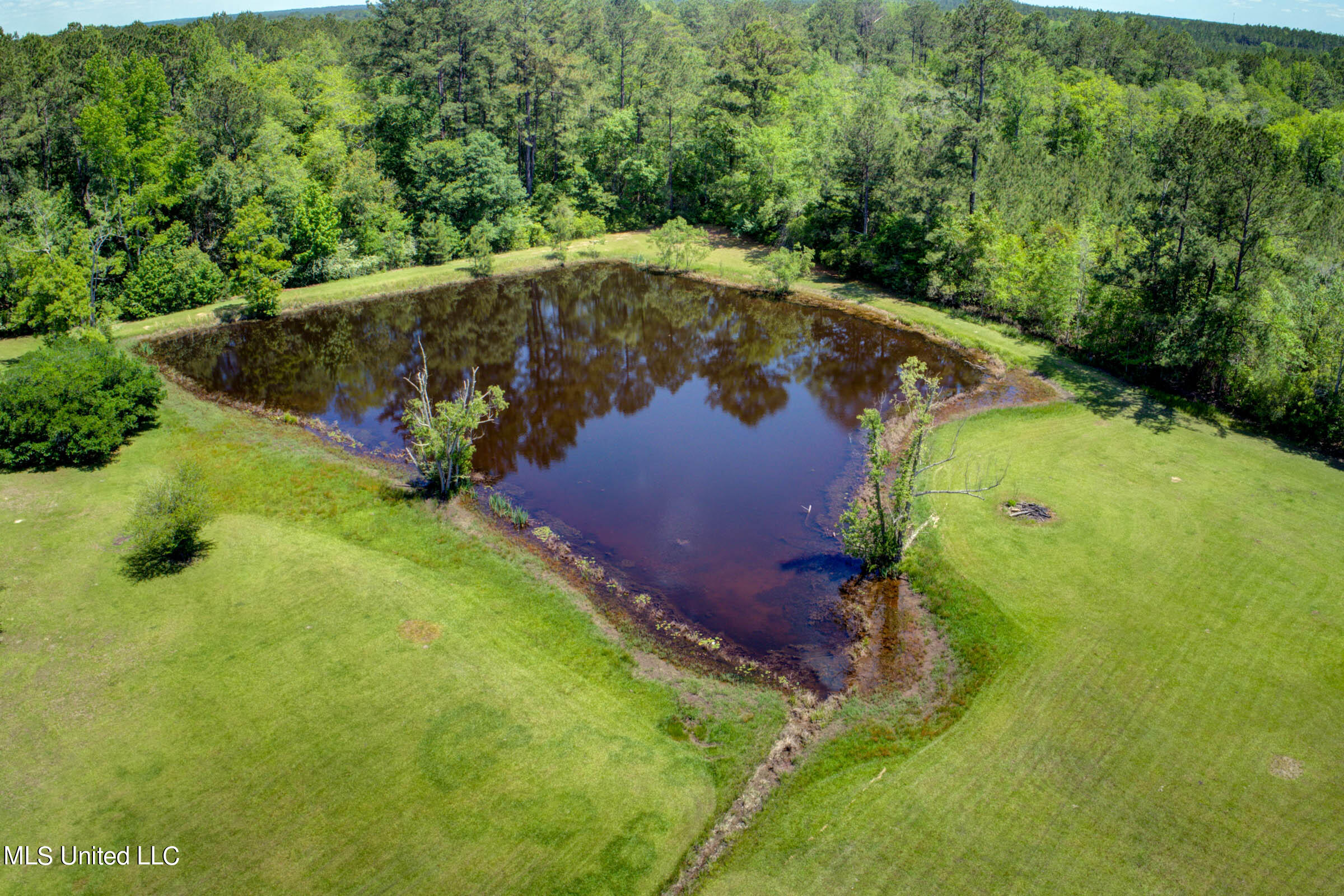 646 Stump Texas Road Lumberton, MS 39455 - Photo 13 of 76 646 Stump Texas Rd (13)