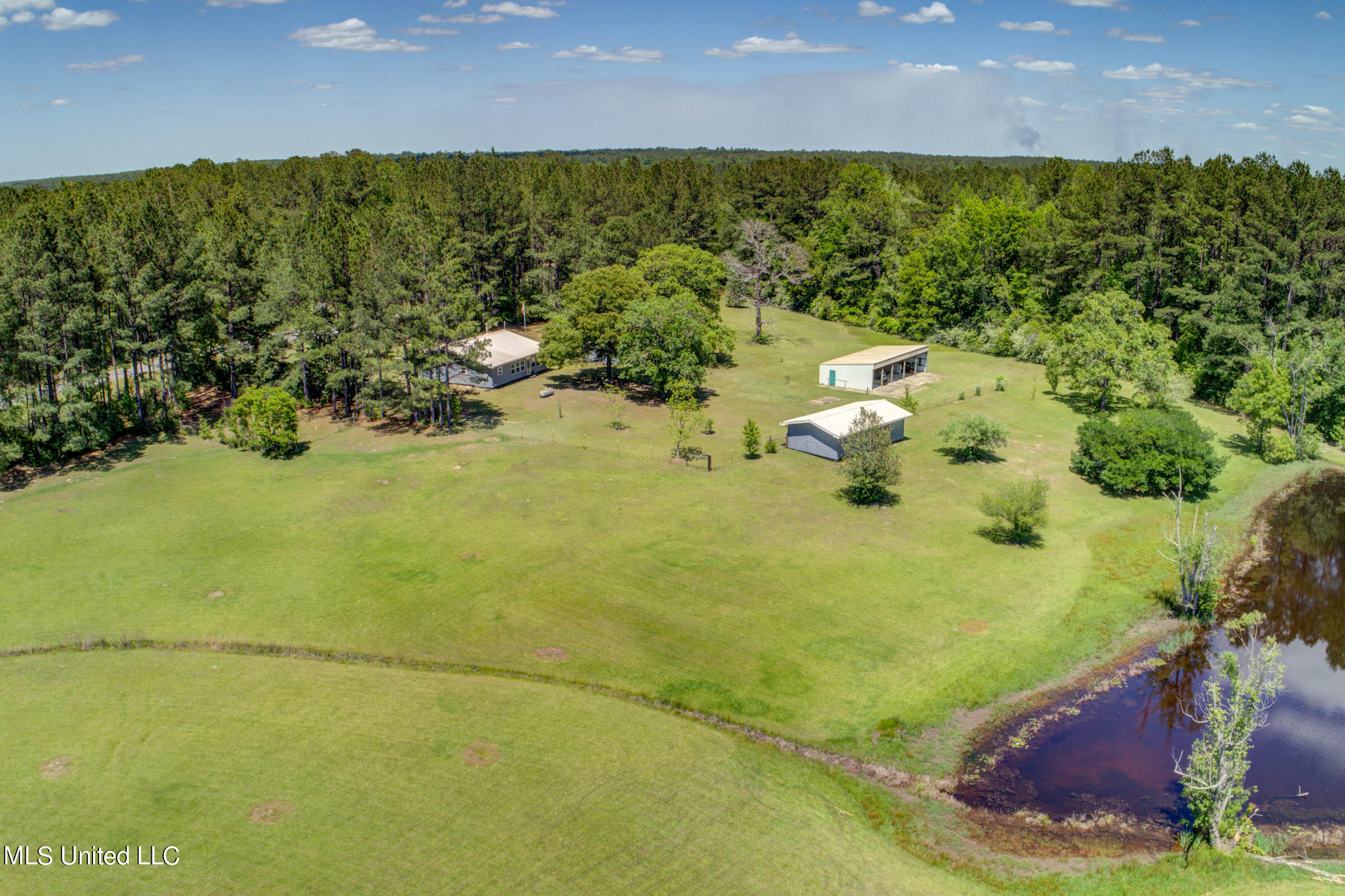 646 Stump Texas Road Lumberton, MS 39455 - Photo 14 of 76 646 Stump Texas Rd (14)