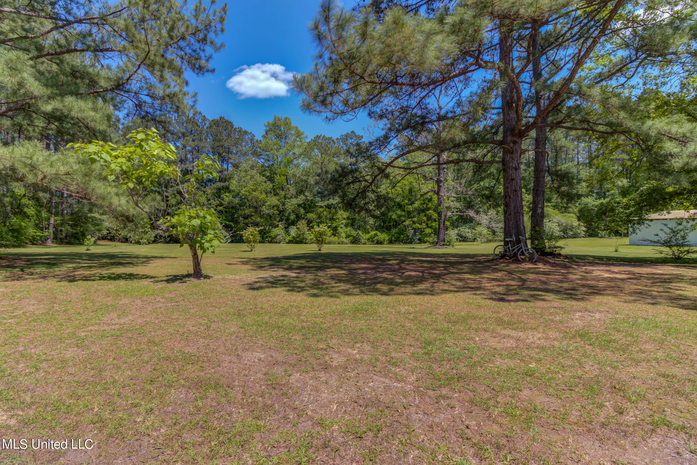 646 Stump Texas Road Lumberton, MS 39455 - Photo 63 of 76 646 Stump Texas Rd (63)