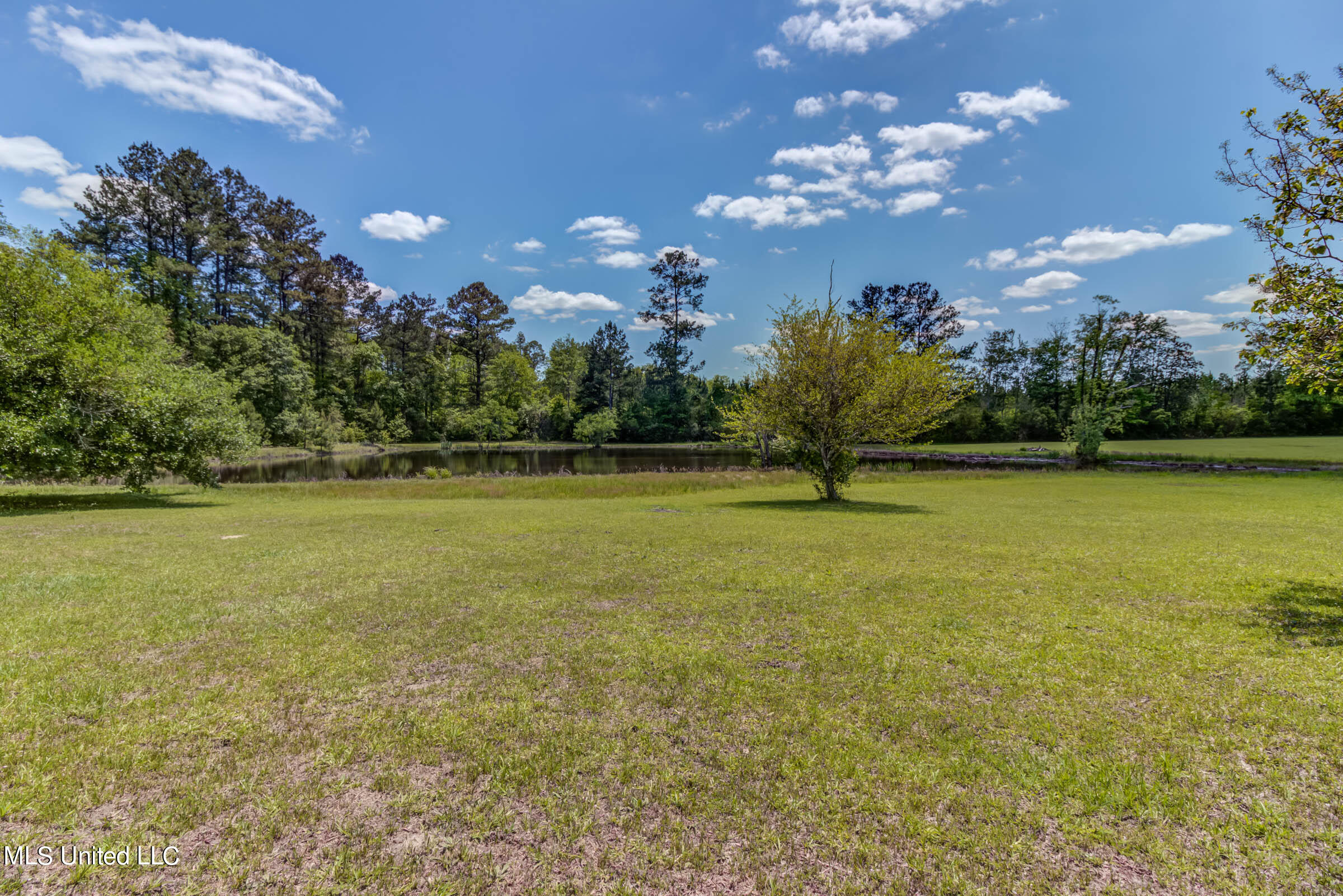 646 Stump Texas Road Lumberton, MS 39455 - Photo 71 of 76 646 Stump Texas Rd (71)