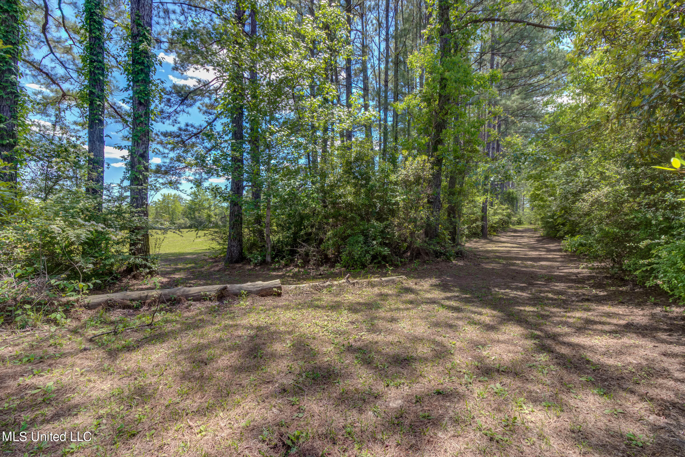 646 Stump Texas Road Lumberton, MS 39455 - Photo 73 of 76 646 Stump Texas Rd (73)