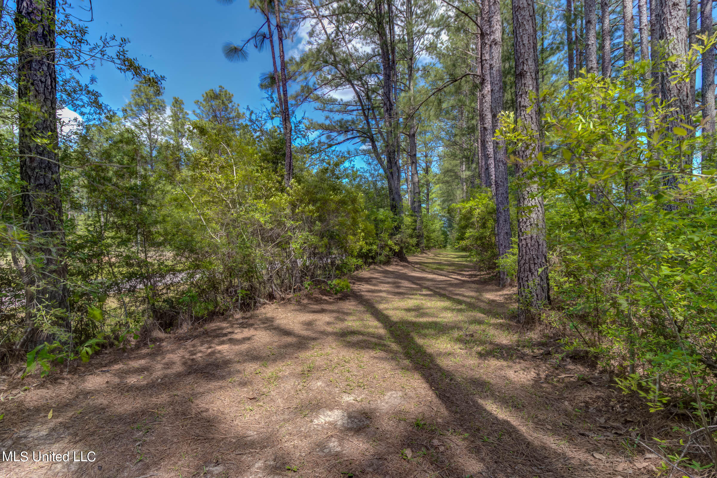 646 Stump Texas Road Lumberton, MS 39455 - Photo 74 of 76 646 Stump Texas Rd (74)