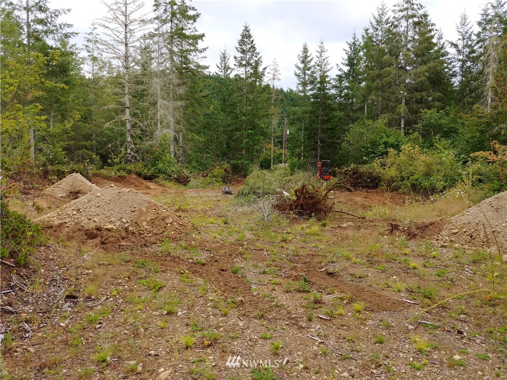 99 East Mox Chehalis Road McCleary, WA 98557 - Photo 1 of 1 Gallery Image 1