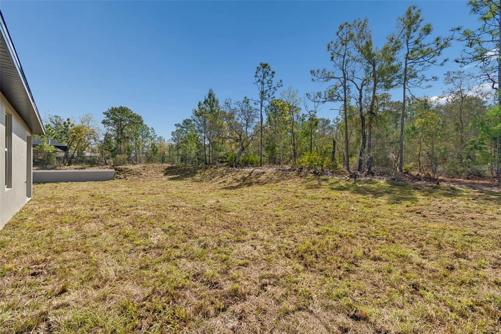 11248 Flock Avenue Weeki Wachee, FL 34613 - Photo 49 of 92