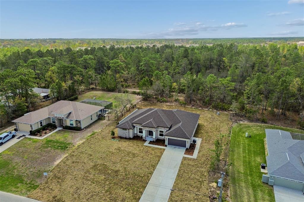 11248 Flock Avenue Weeki Wachee, FL 34613 - Photo 53 of 92