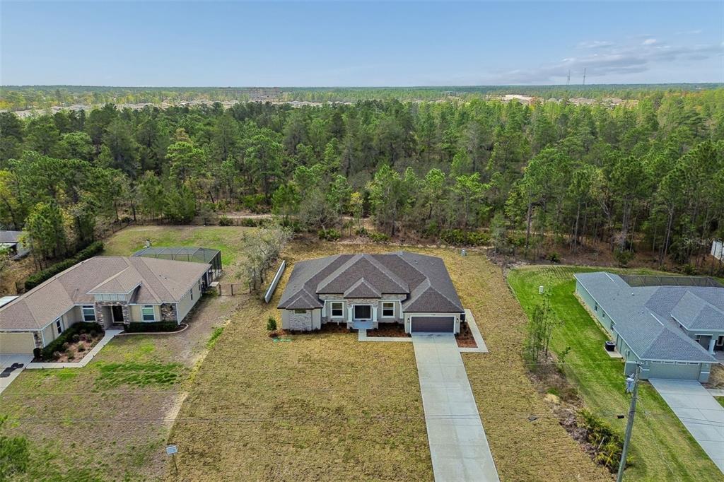 11248 Flock Avenue Weeki Wachee, FL 34613 - Photo 54 of 92