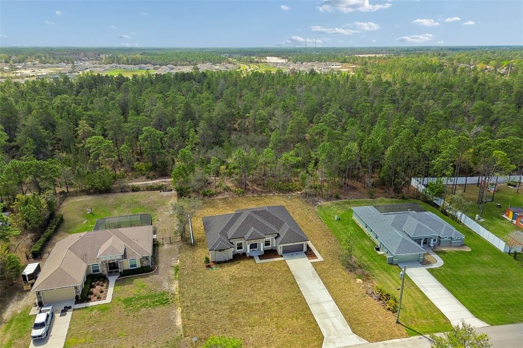 11248 Flock Avenue Weeki Wachee, FL 34613 - Photo 56 of 92