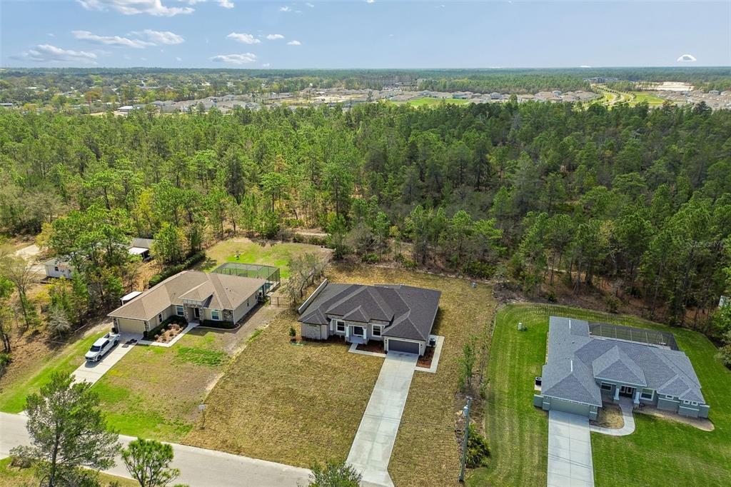 11248 Flock Avenue Weeki Wachee, FL 34613 - Photo 58 of 92