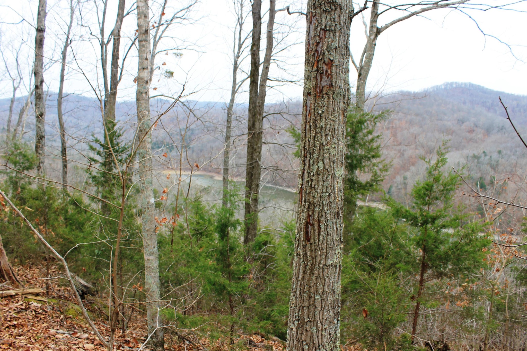2 Cornerstone Pkwy Point Allons, TN 38541 - Photo 10 of 13