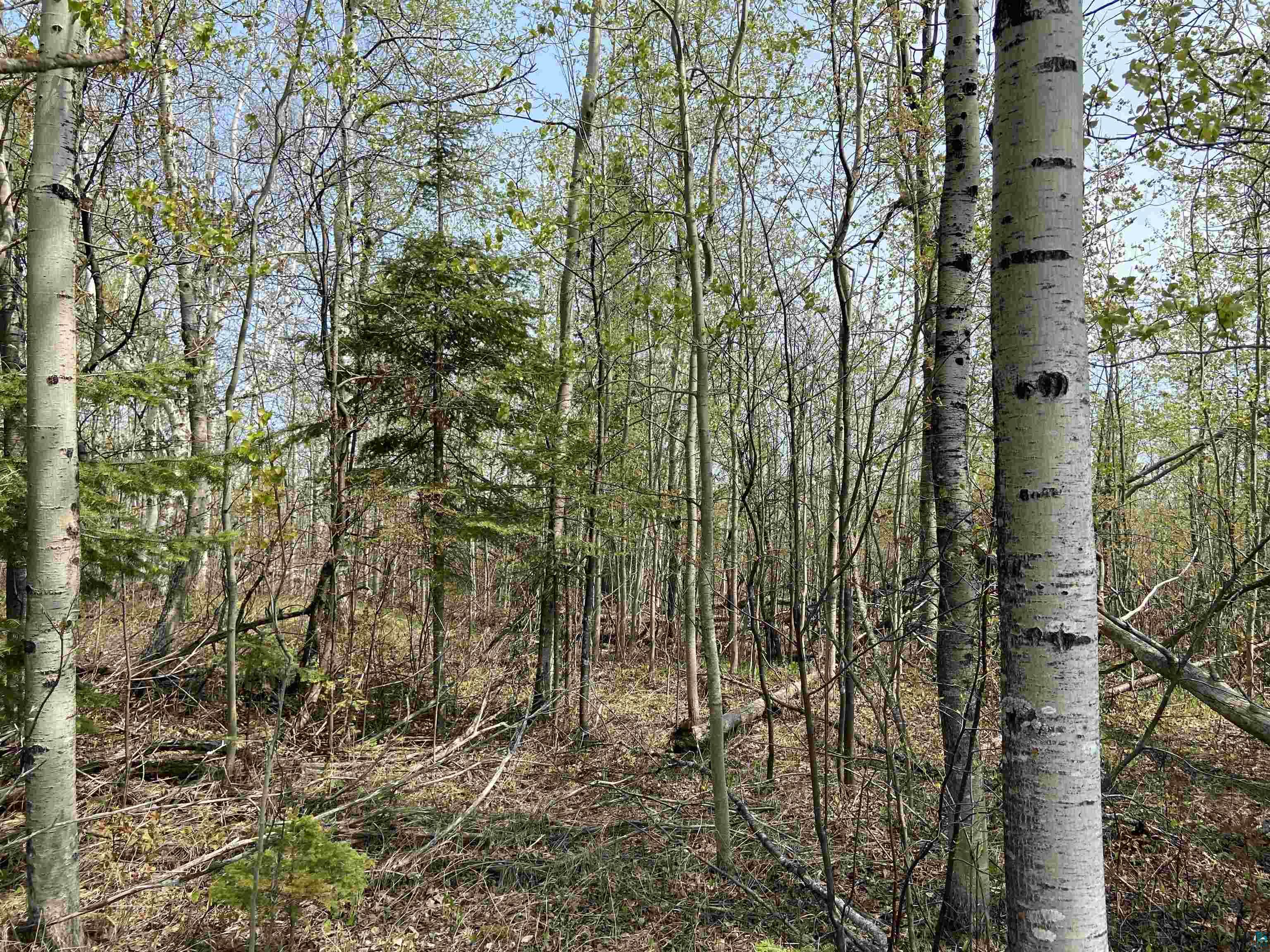 6334 Old County Road Silver Bay, MN 55614 - Photo 8 of 15