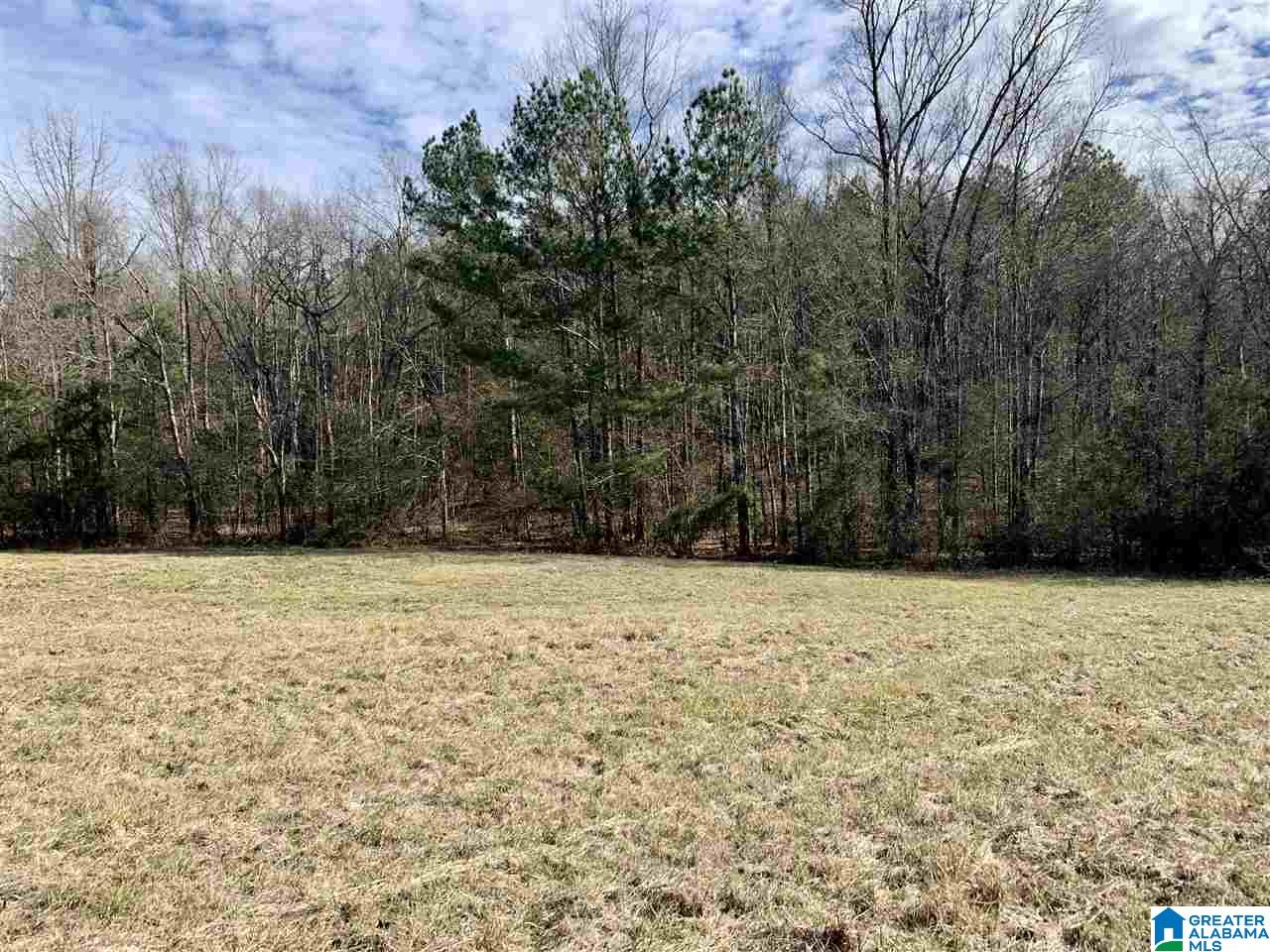 0 County Road 16 Calera, AL 35040 - Photo 19 of 22