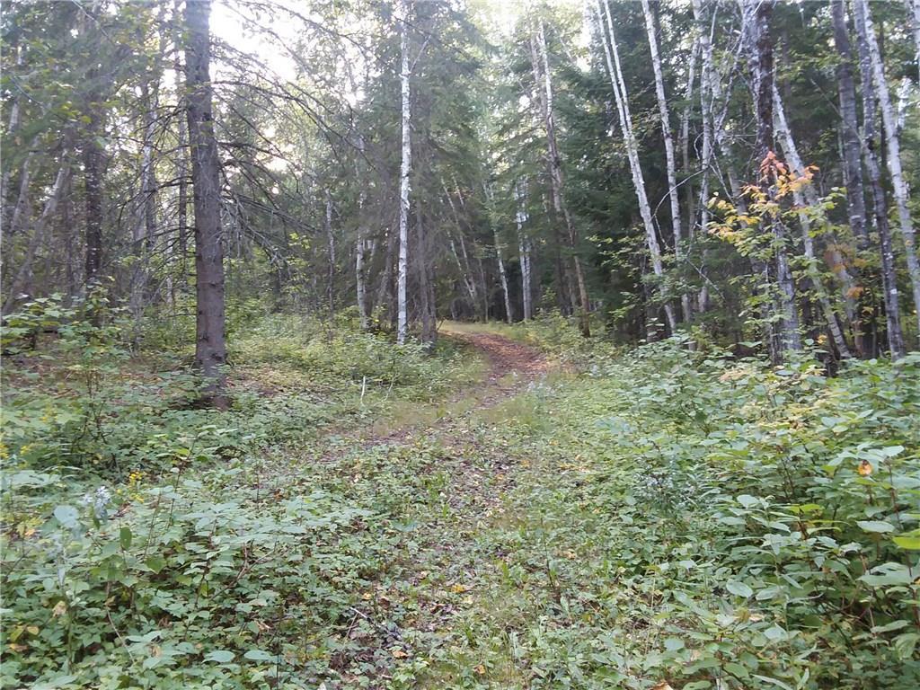 Lot 28 Thibodeau Road Woodland, ME 04736 - Photo 11 of 30 Photo